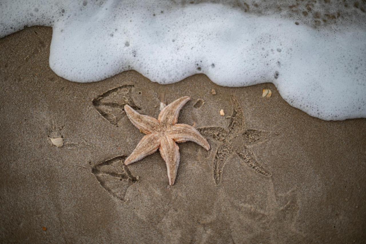 Strandstudio'S Camperduin Схорл Екстер'єр фото